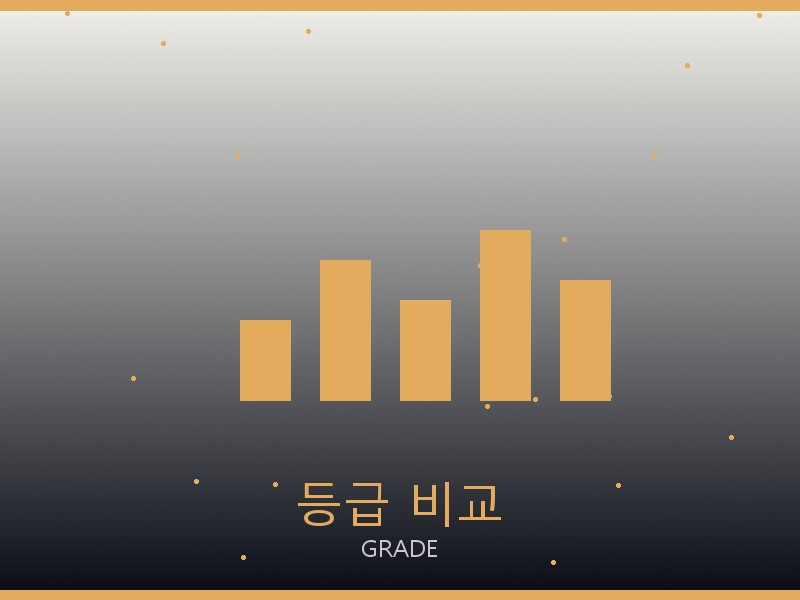 벨트 레플리카 사이트 등급 기준 비교
